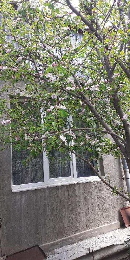 Guest House Otilia Gyumri ภายนอก รูปภาพ