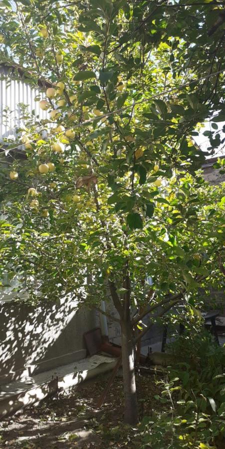 Guest House Otilia Gyumri ภายนอก รูปภาพ